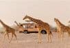 Sir Bani Yas Island  
